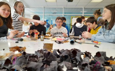 Collaboration artistique – 5èmes