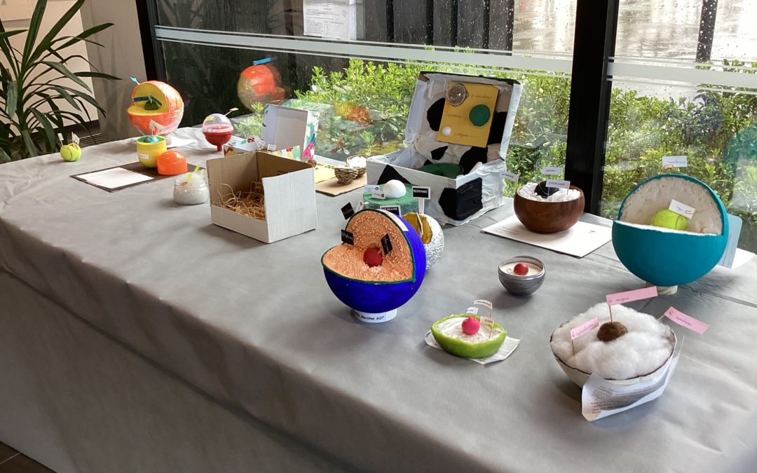 Maquettes de cellule – 6ème