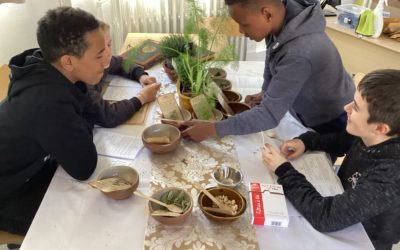 AECS 5ème – le Moyen Age