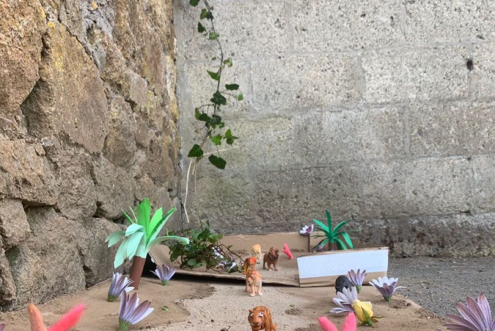 Journée mondiale de l’environnement