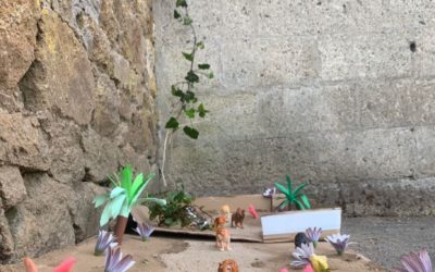 Journée mondiale de l’environnement