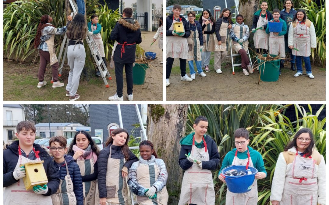 Les éco-délégués et des volontaires en action toute cette semaine !
