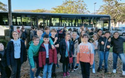 Prévention sécurité routière